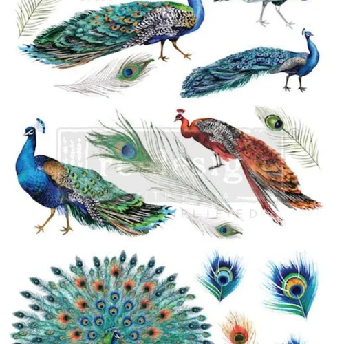 PEACOCK DREAMS  24″X 33″- Prima Redesign Transfer